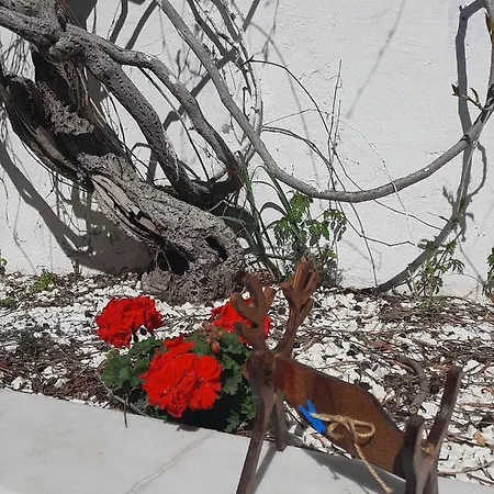 Moon & Sun سفيريهيسار