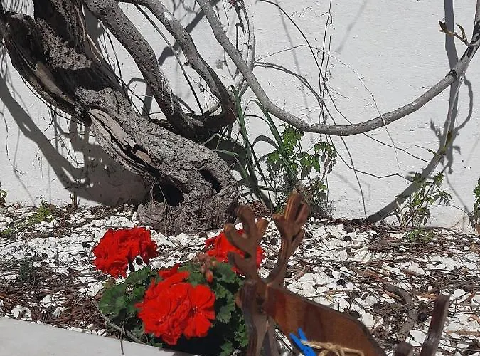 Moon & Sun Seferihisar